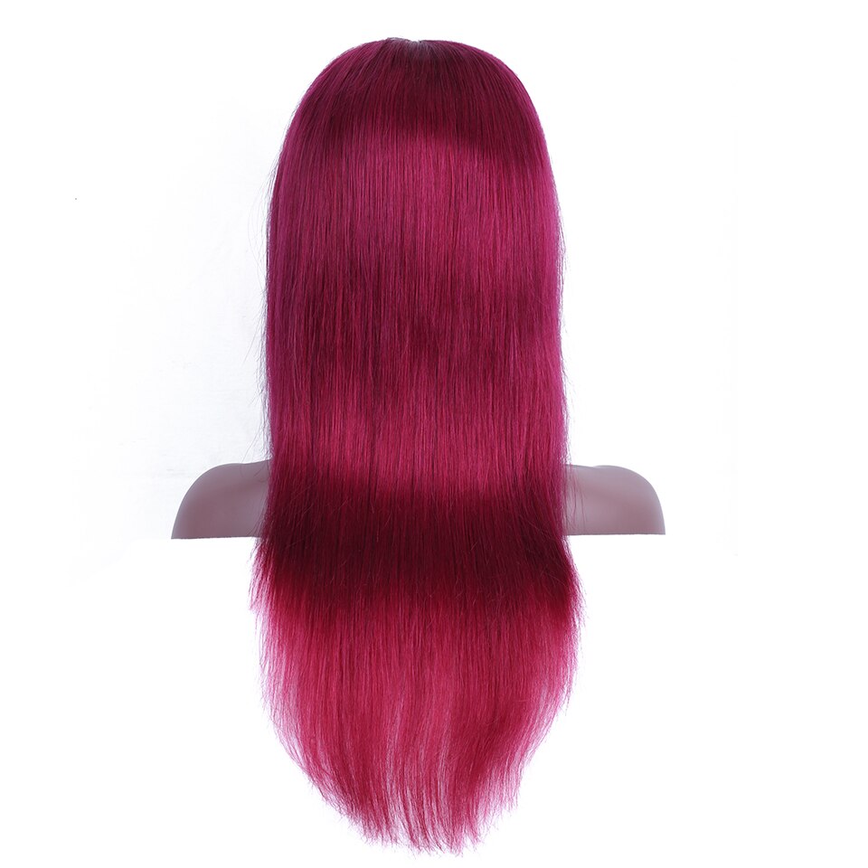 HairUGo 4x4 Lace Closure Wigs 99J Brazlian Remy Straight Lace Closure Human Hair Wigs For Black Women Human Hair Wig Pre Plucked