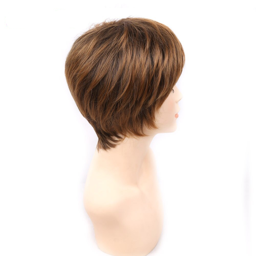 Highlights Short Straight Non-Lace Synthetic Hair Wig