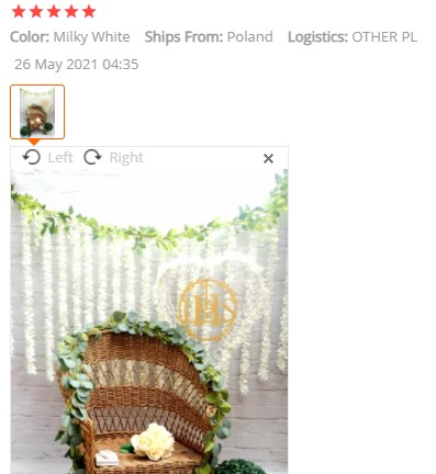 20pcs Beautiful White Artificial Silk Wisteria Flowers