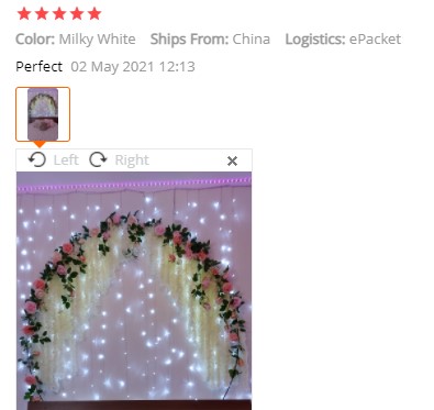 20pcs Beautiful White Artificial Silk Wisteria Flowers
